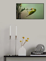Hanging Poster och Canvastavla