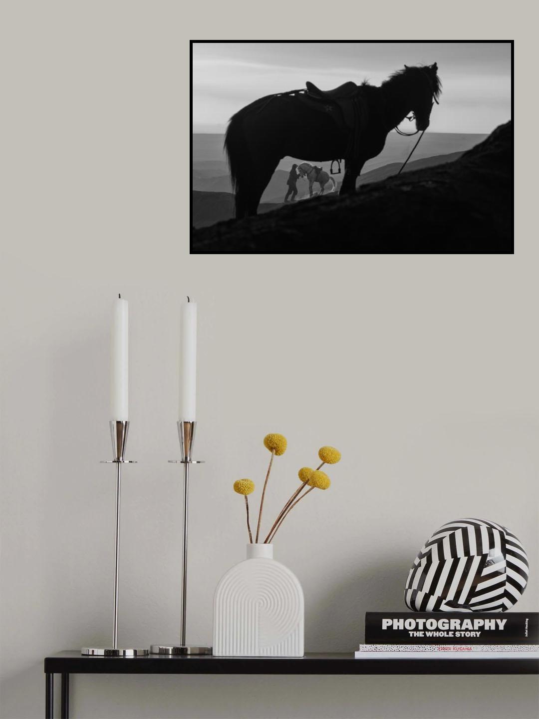 desperado Poster och Canvastavla