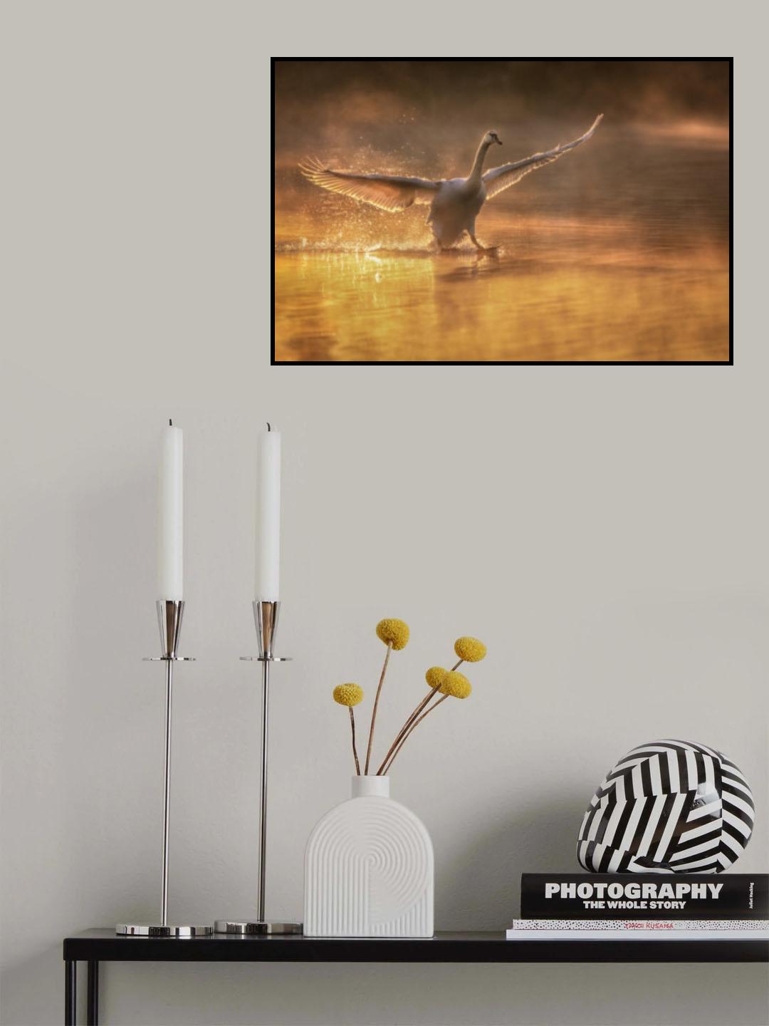 Landing in the Morning Poster och Canvastavla