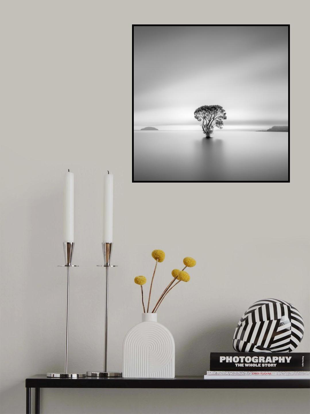 Poster och Canvastavla