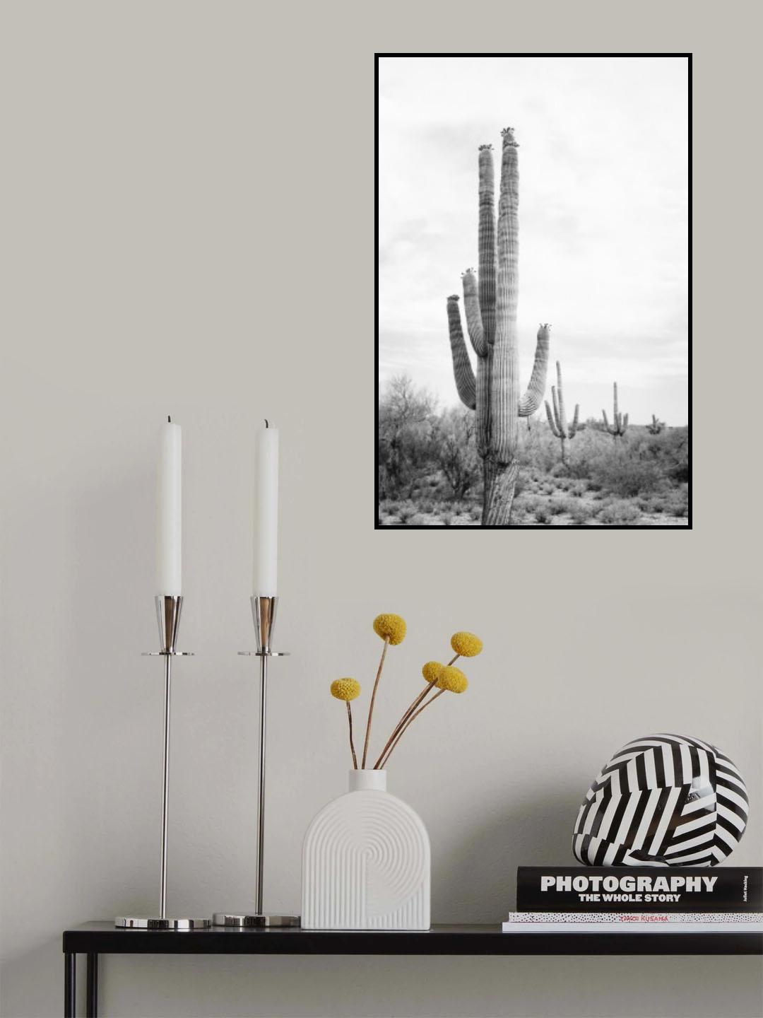 Saguaro B&amp;W Poster och Canvastavla