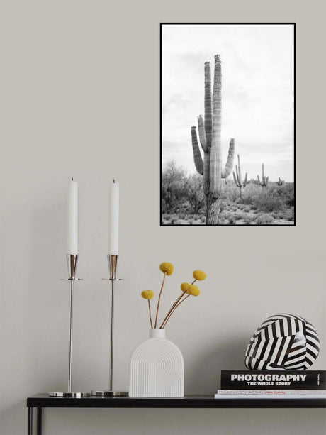 Saguaro B&amp;W Poster och Canvastavla
