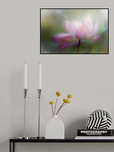 lotus dreamy Poster och Canvastavla