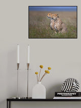 Brothers Poster och Canvastavla