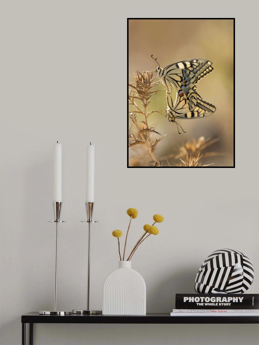 papilio Poster och Canvastavla