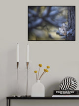 Hide and seek Poster och Canvastavla