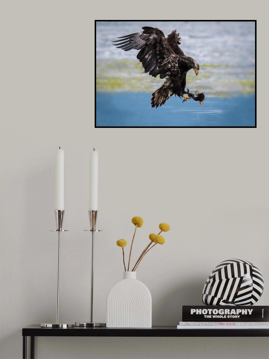 Catch Poster och Canvastavla