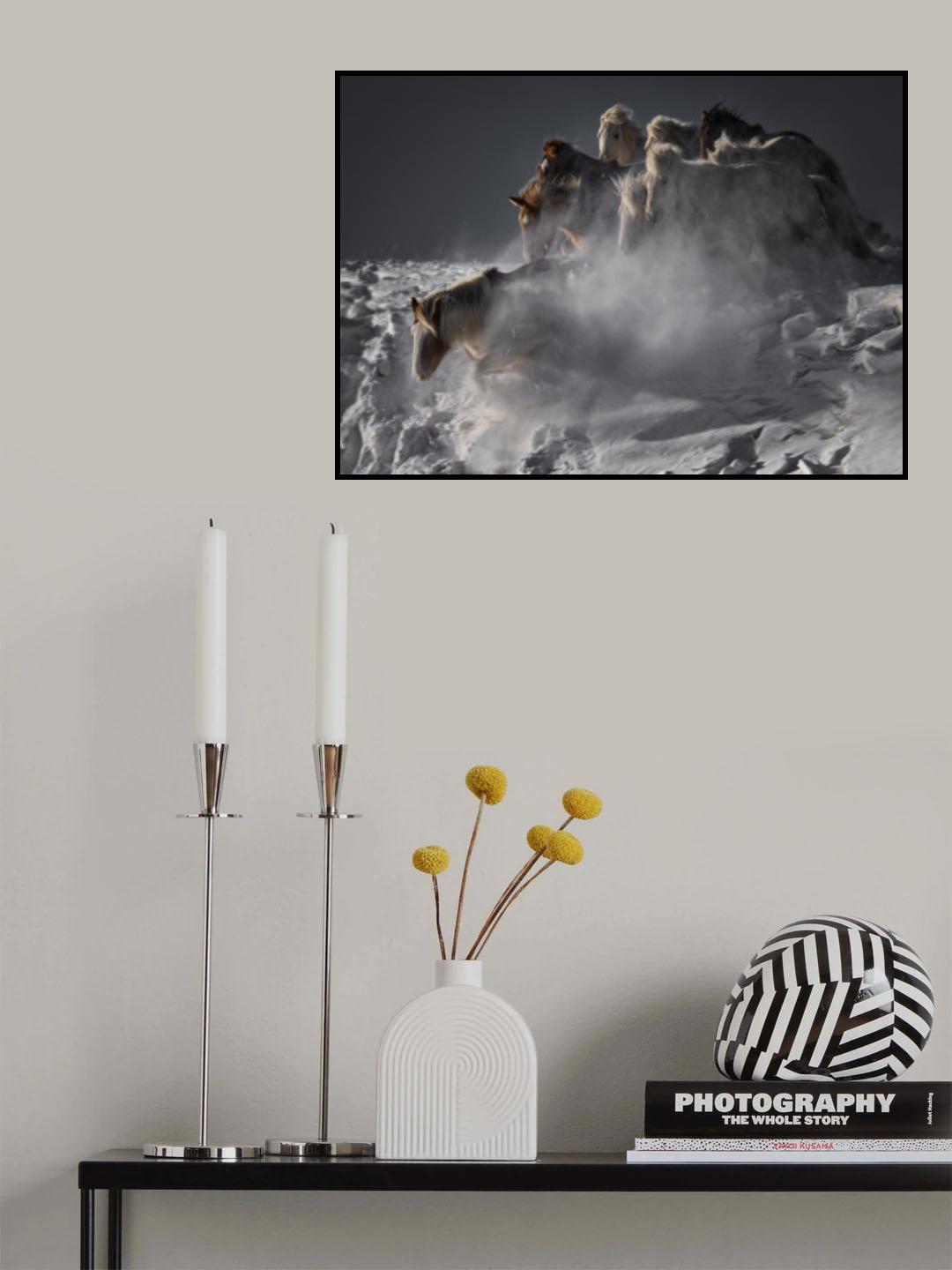 Leading Horse Poster och Canvastavla