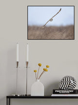 Snow Day Poster och Canvastavla