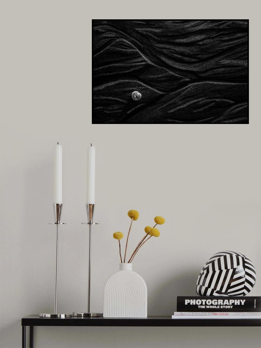 Sand and shell Poster och Canvastavla