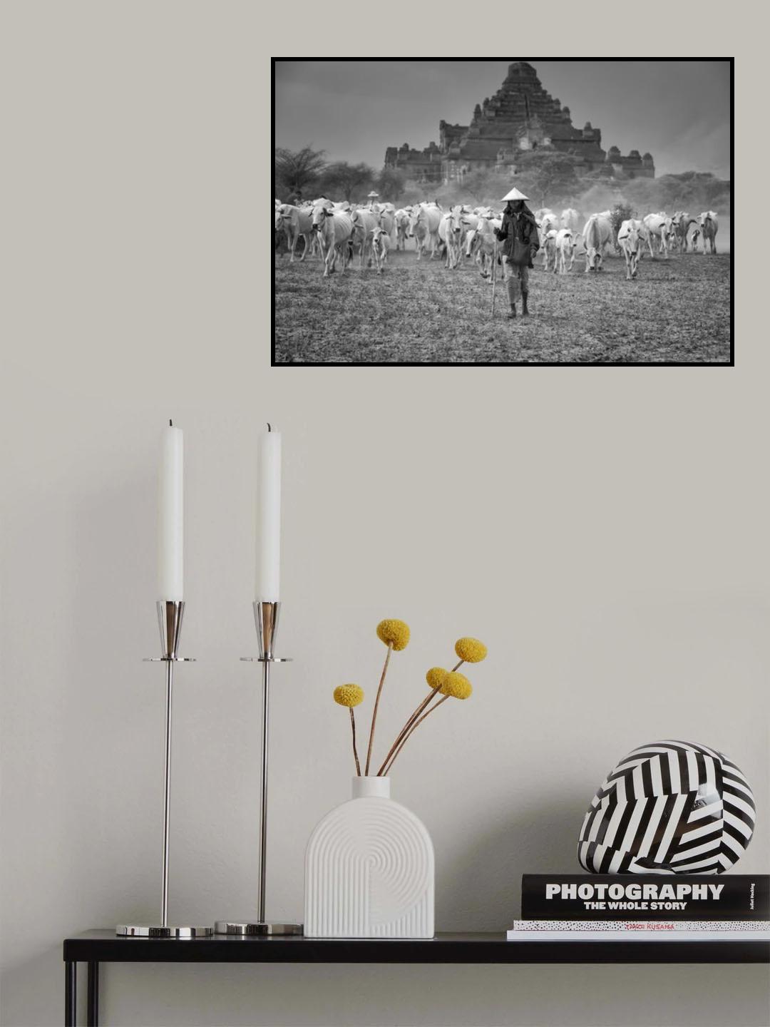 Follow Me Poster och Canvastavla