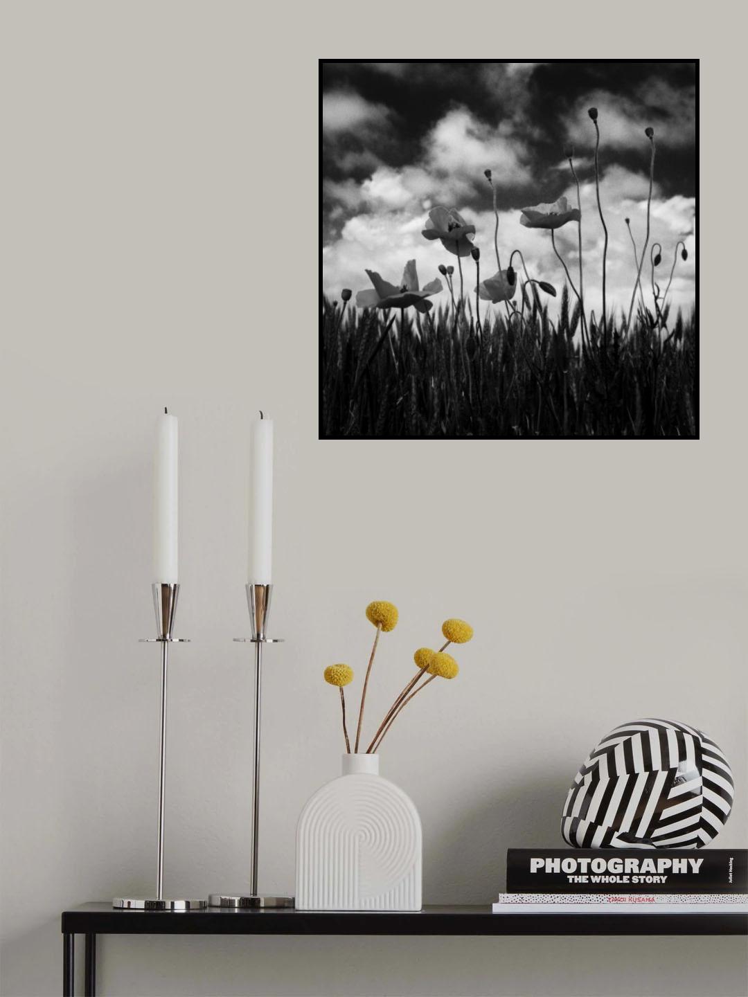 Poster och Canvastavla