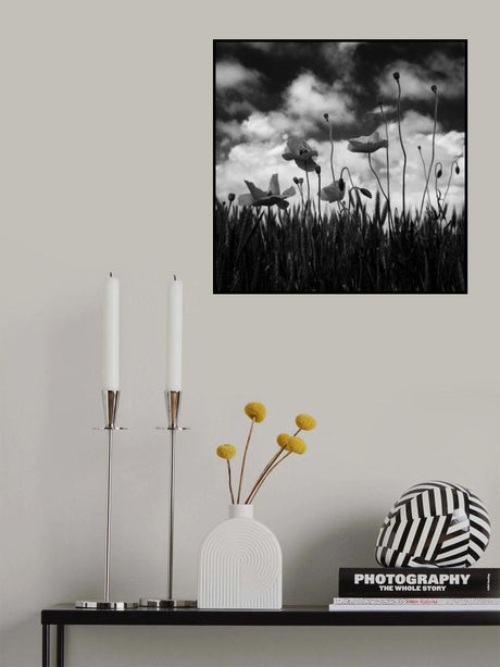 Poster och Canvastavla