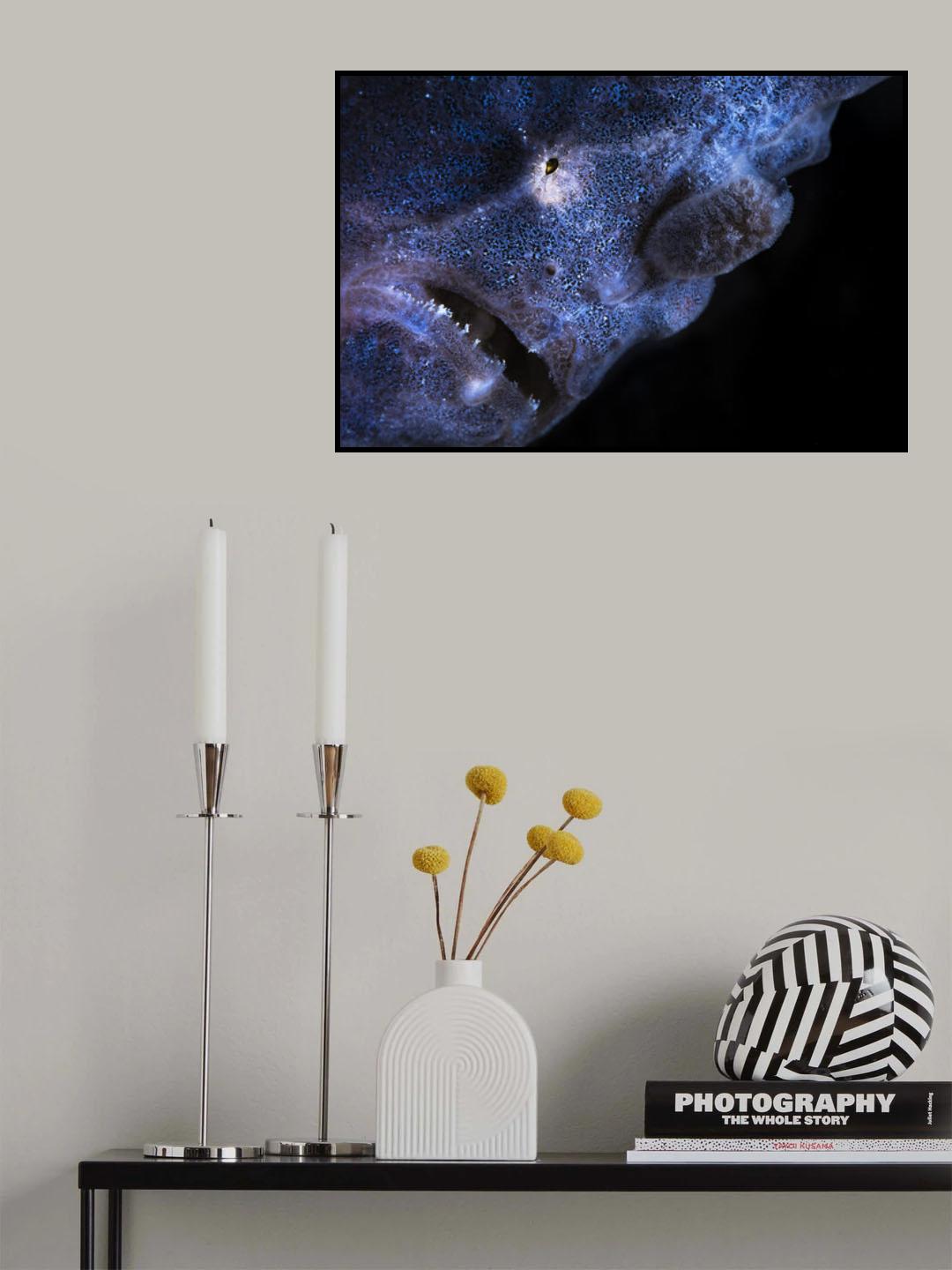 Frogfish Poster och Canvastavla