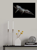 cute Poster och Canvastavla