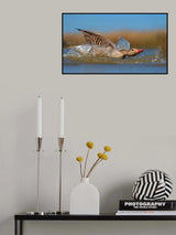 Moving forward Poster och Canvastavla