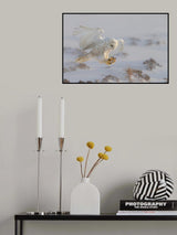 Landing Poster och Canvastavla