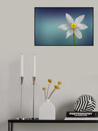 Flower of Paradise Poster och Canvastavla