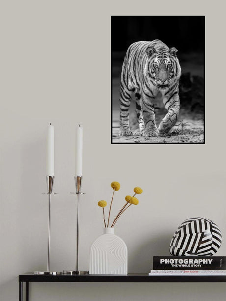 Tiger Head On Poster och Canvastavla