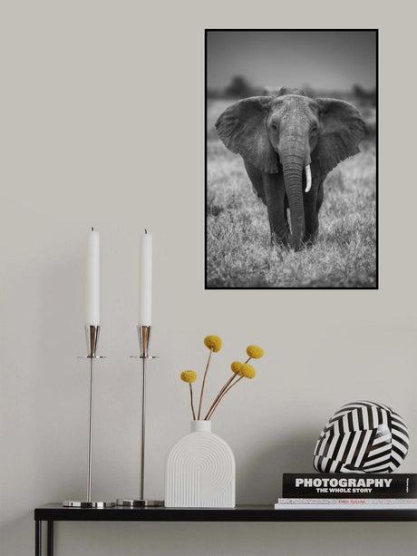 SINGULARITY Poster och Canvastavla