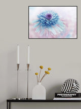 Daydream Poster och Canvastavla