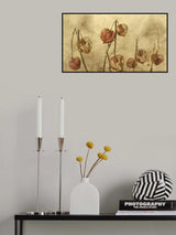 Physalis 2 Poster och Canvastavla