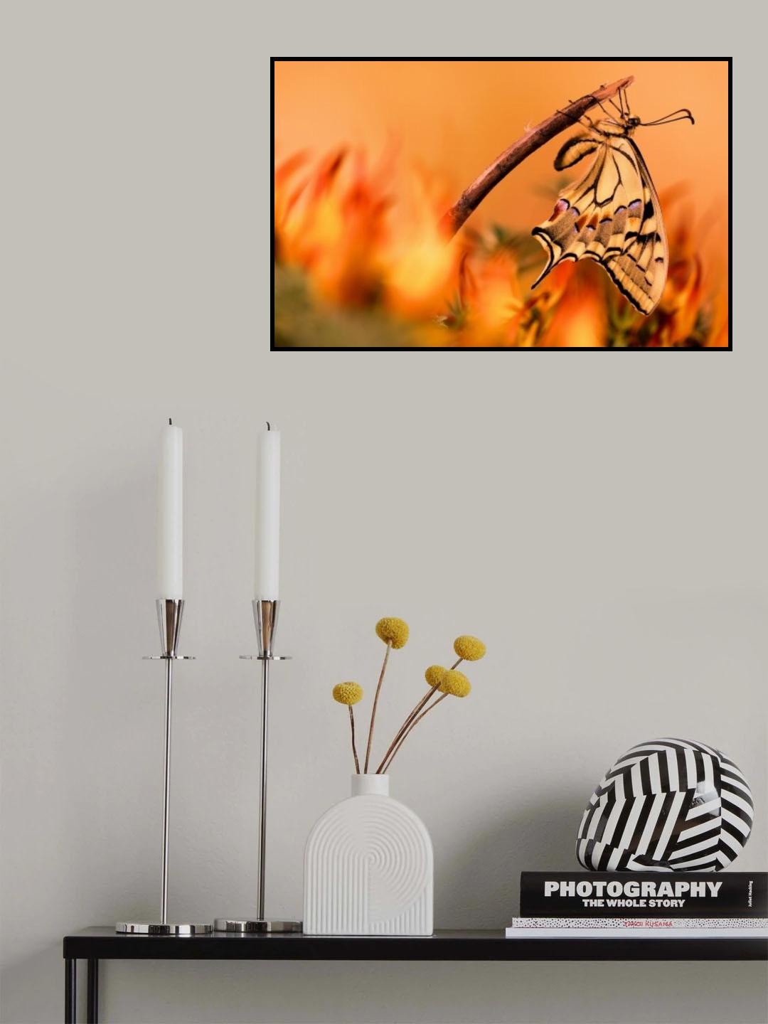 Hot Poster och Canvastavla