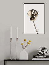 Monstera Gold 06 Poster och Canvastavla