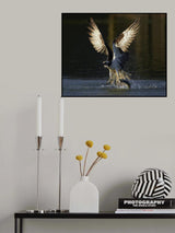 Angel Wings Poster och Canvastavla