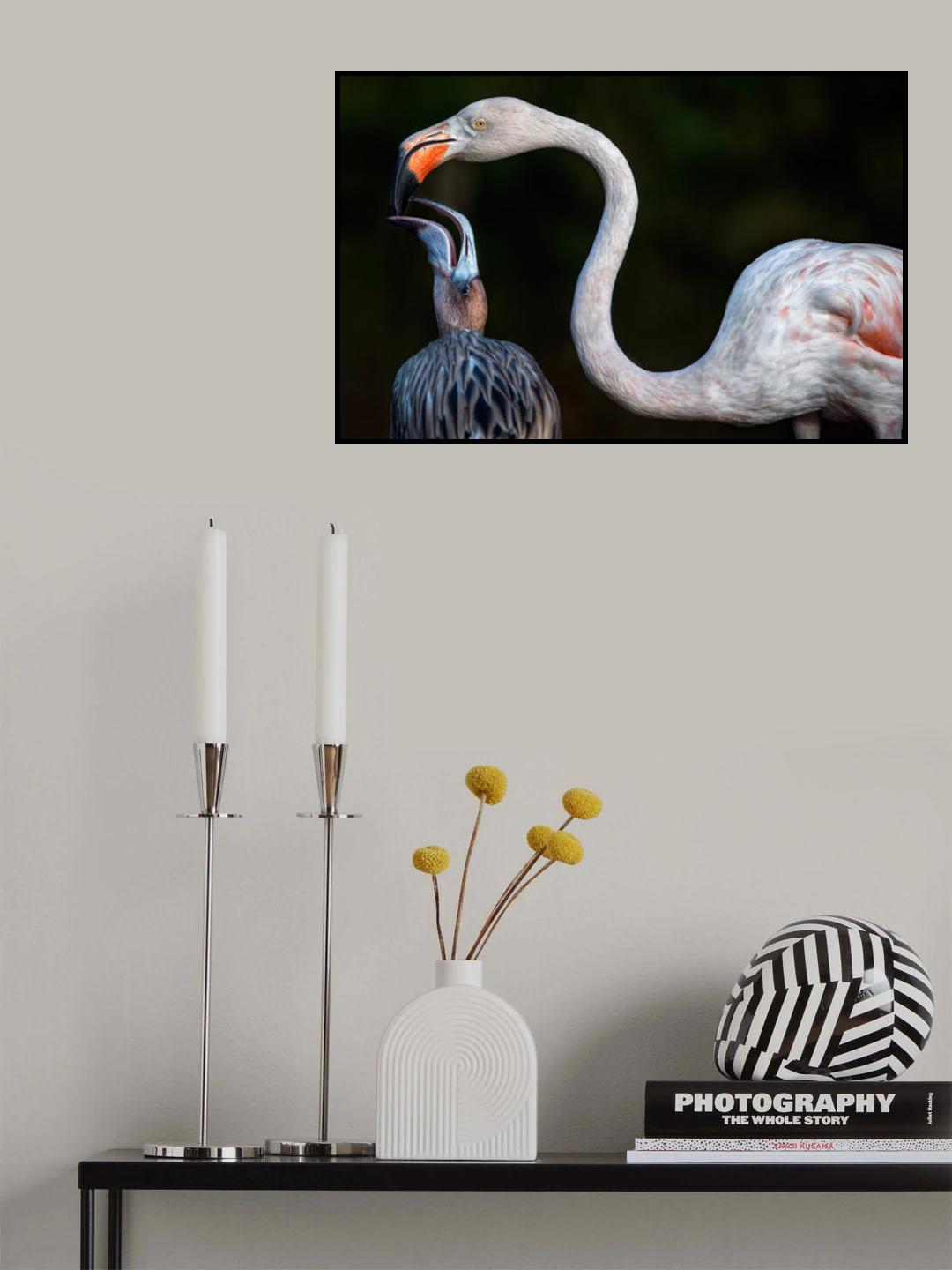 Mother flamingo with chick Poster och Canvastavla