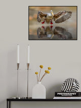 Touching the water Poster och Canvastavla