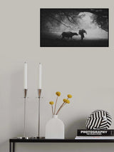 Synergy ... Poster och Canvastavla
