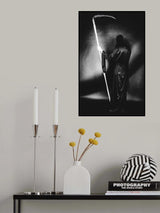 Poster och Canvastavla
