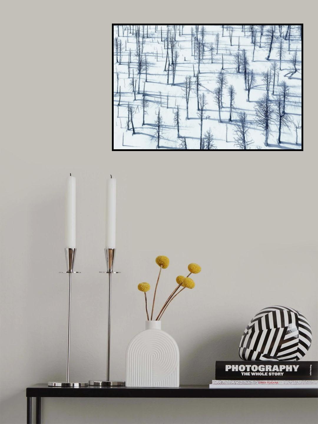 Bared Trees and Their shadows Poster och Canvastavla