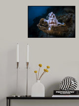 The Frogfish Trone Poster och Canvastavla
