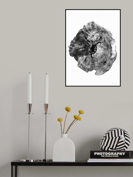 Oak Log Poster och Canvastavla