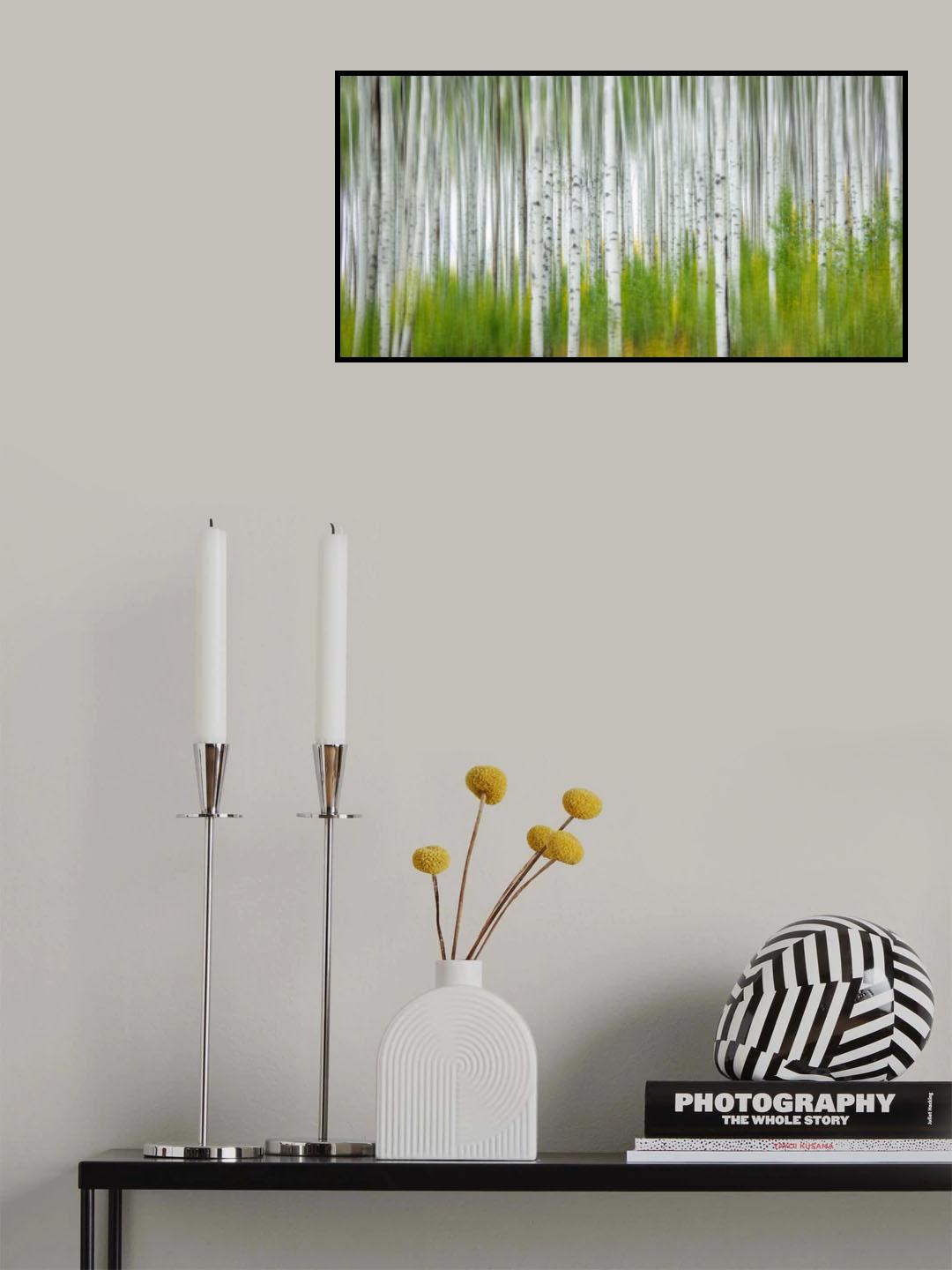 Aspen Forest Poster och Canvastavla