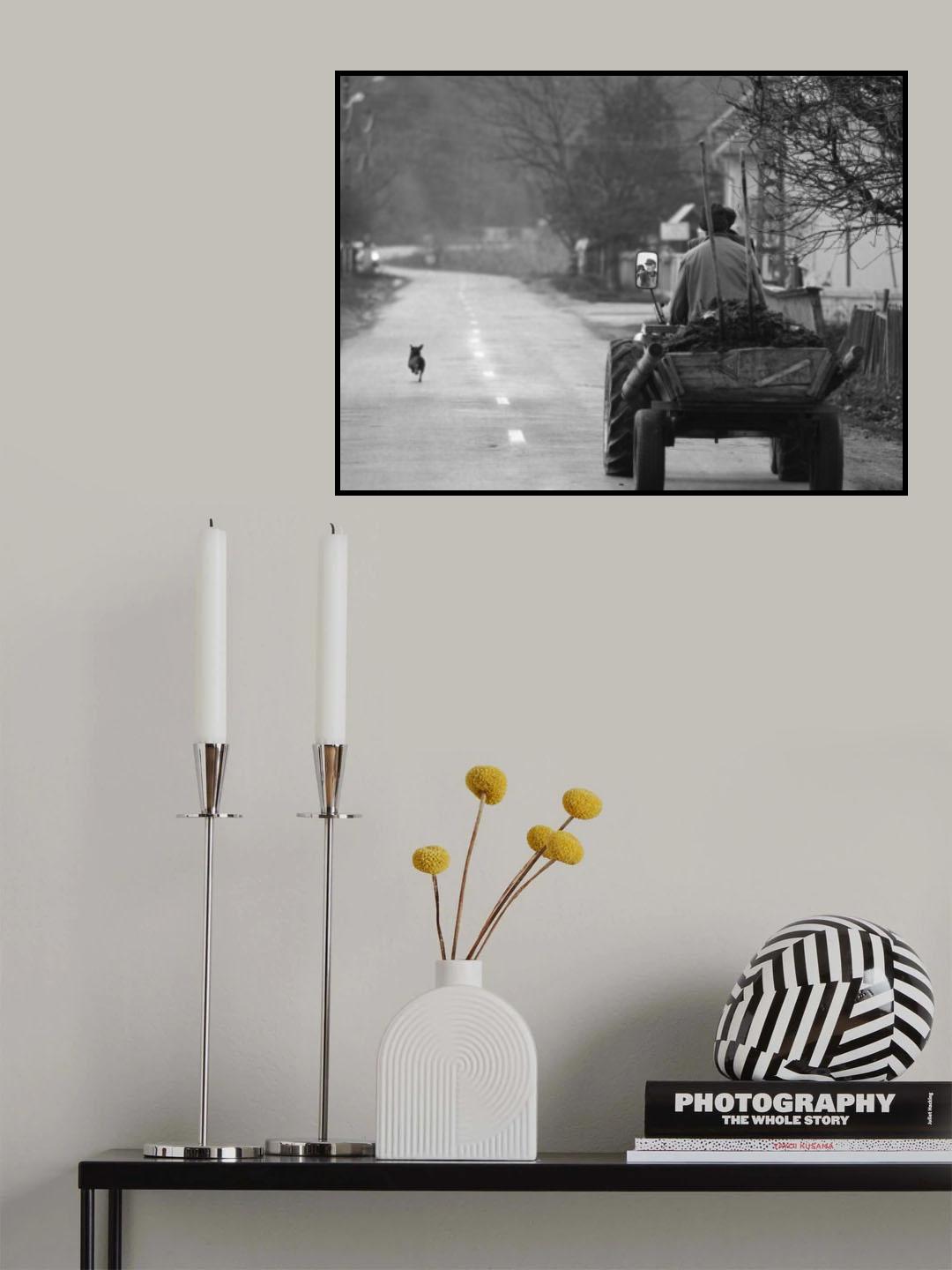 The Followers Poster och Canvastavla