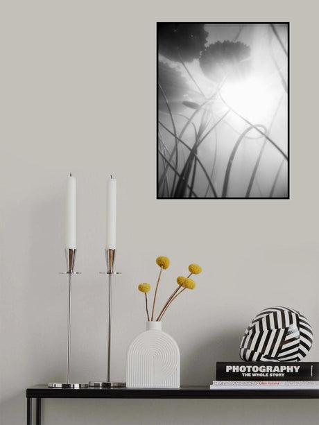 Water Lilly 03 Poster och Canvastavla
