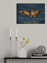 Encounter Poster och Canvastavla