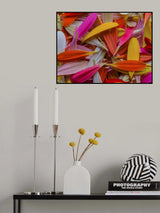 colorful flower petals Poster och Canvastavla