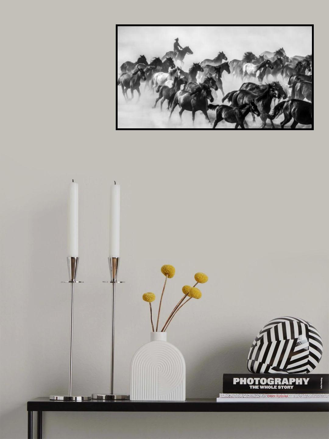 horses Poster och Canvastavla