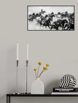 horses Poster och Canvastavla