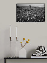 Sundry fishes Poster och Canvastavla