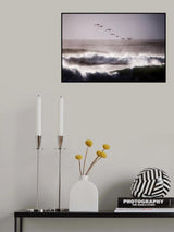 Pelicans Poster och Canvastavla