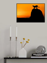 Calling for a Hunt Poster och Canvastavla