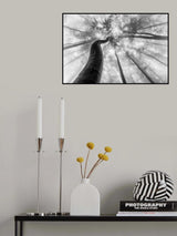 Up to the light Poster och Canvastavla