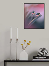 The Gravity of Love...III Poster och Canvastavla