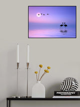 Flying Flamingo Poster och Canvastavla