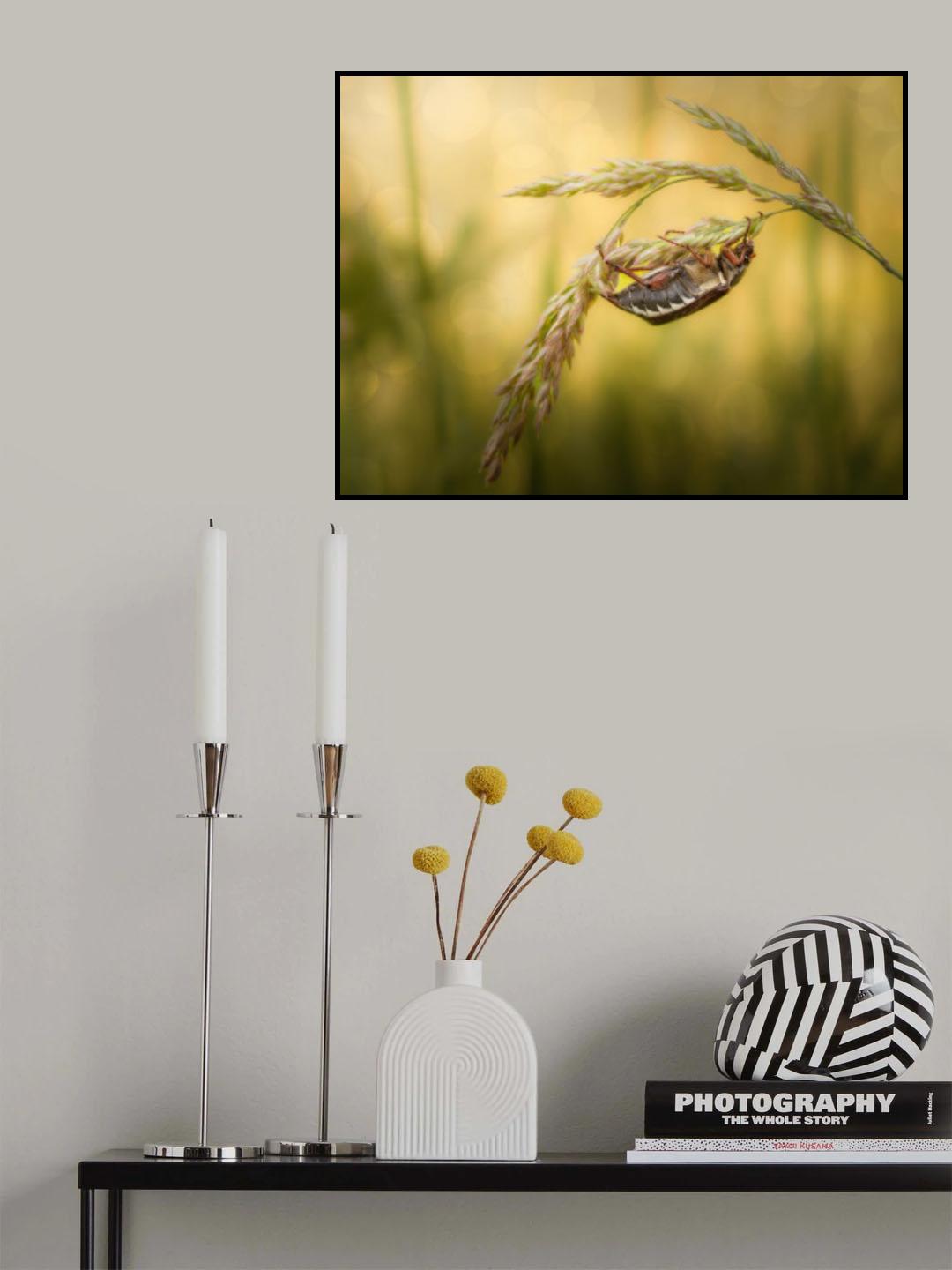 Spring fun Poster och Canvastavla